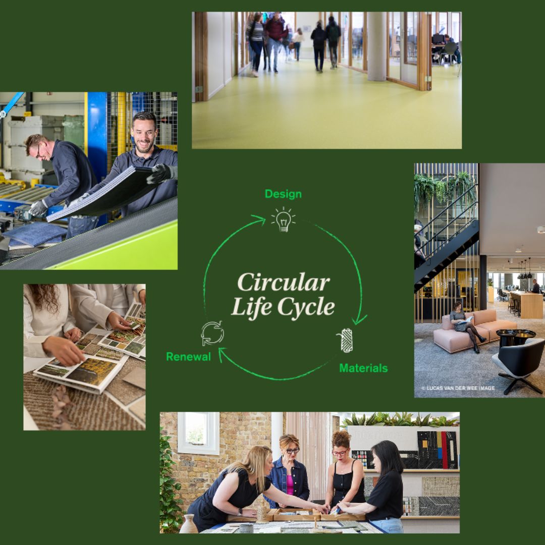 Interface Circular Life Cycle graphic
